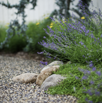 Oldetowne Landscape Architects